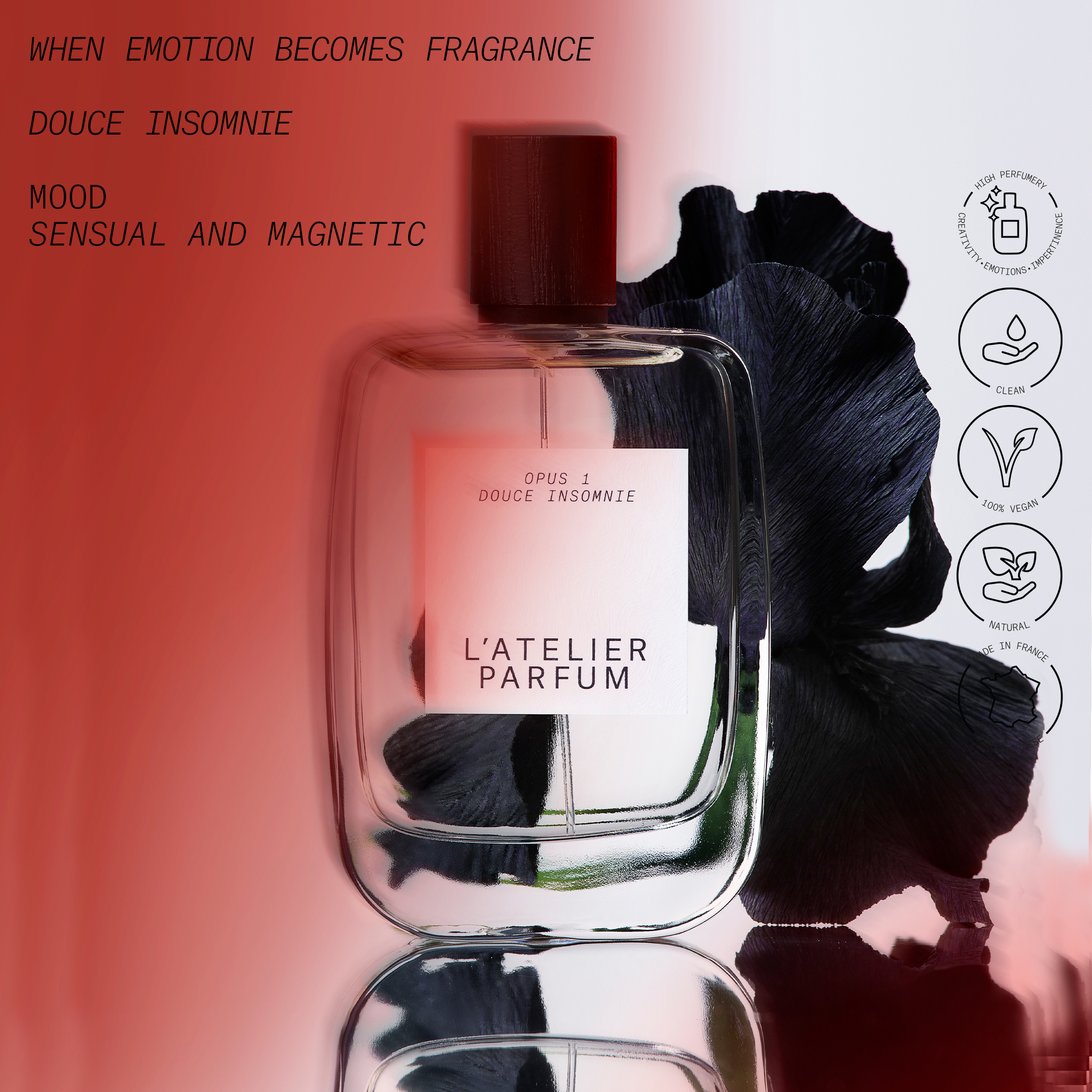 DOUCE INSOMNIE - Image 4