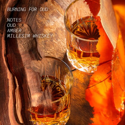 BURNING FOR OUD - Image 4