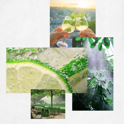 GREEN CRUSH - Image 4